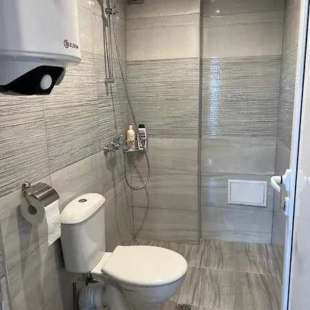 Roof Luxury * 布拉格埃夫格拉德